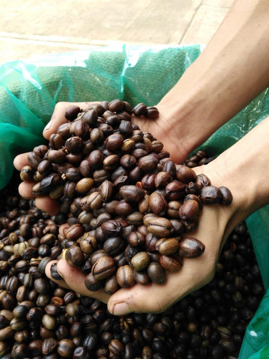 Peach Chardonnay - 9th Place Cup of Excellence Competition